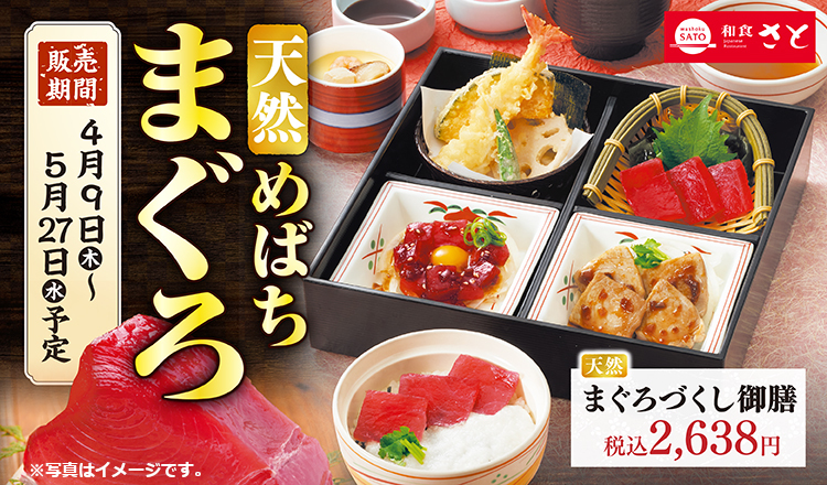 和食さと「天然めばちまぐろフェア」