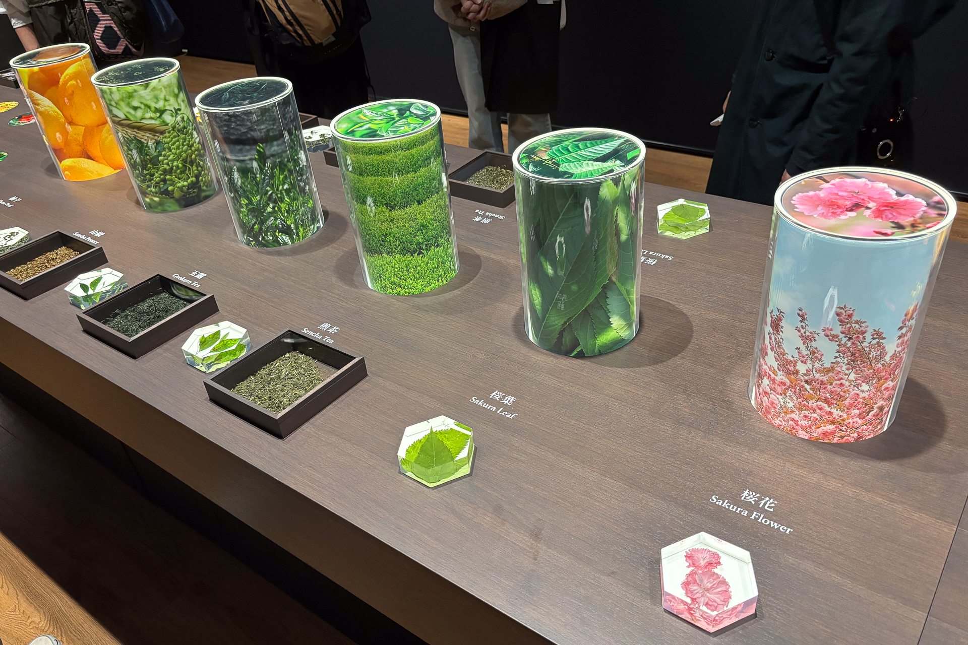 6つの和の素材を合わせているから「ROKU〈六〉」という商品名になっているが、その素材それぞれの香りにも触れることができる。ジンのベースとなるボタニカル「ジュニパーベリー」そのものを食べることもでき、かじってみると「ジンを食べている」ような新鮮な感覚だった