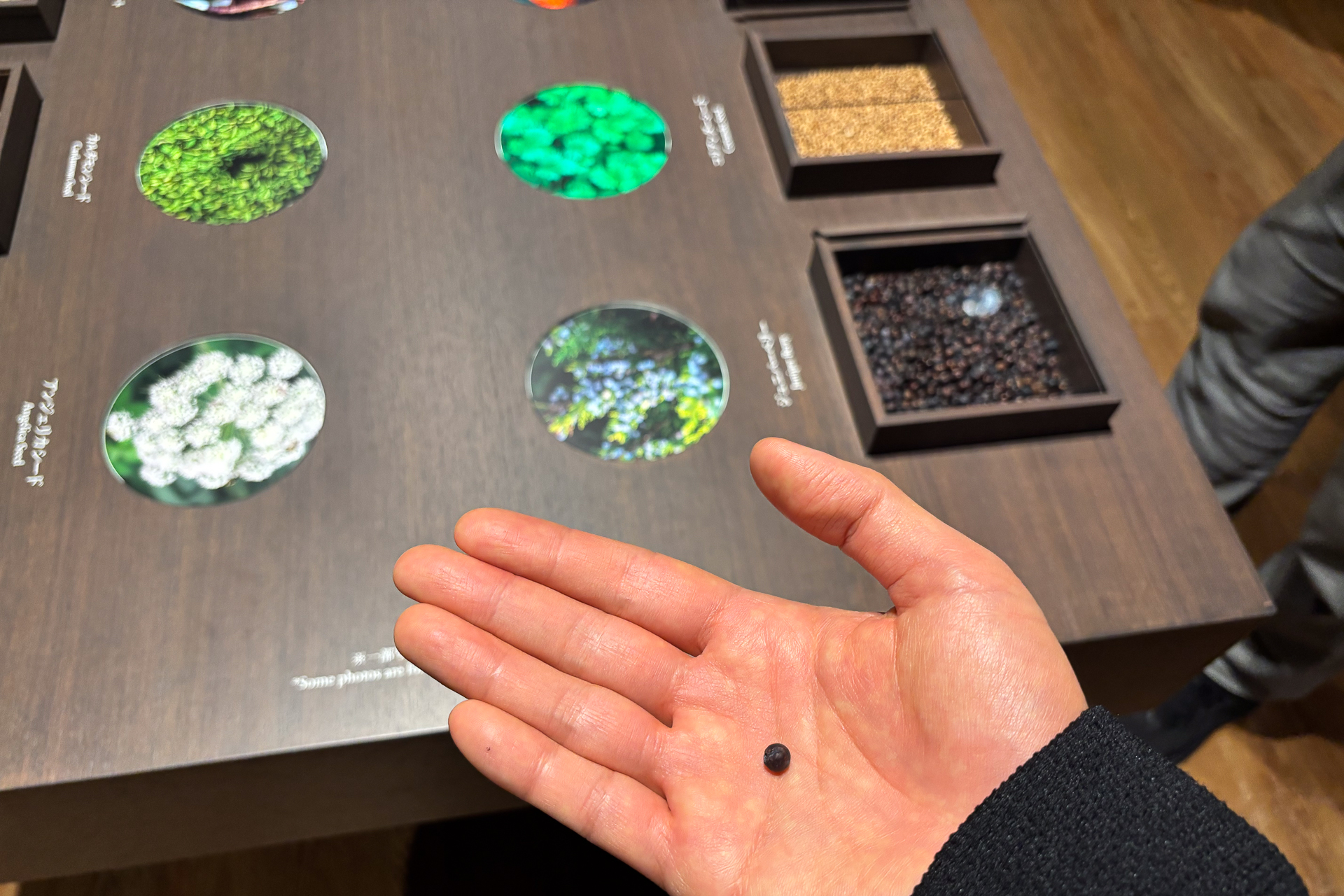 6つの和の素材を合わせているから「ROKU〈六〉」という商品名になっているが、その素材それぞれの香りにも触れることができる。ジンのベースとなるボタニカル「ジュニパーベリー」そのものを食べることもでき、かじってみると「ジンを食べている」ような新鮮な感覚だった