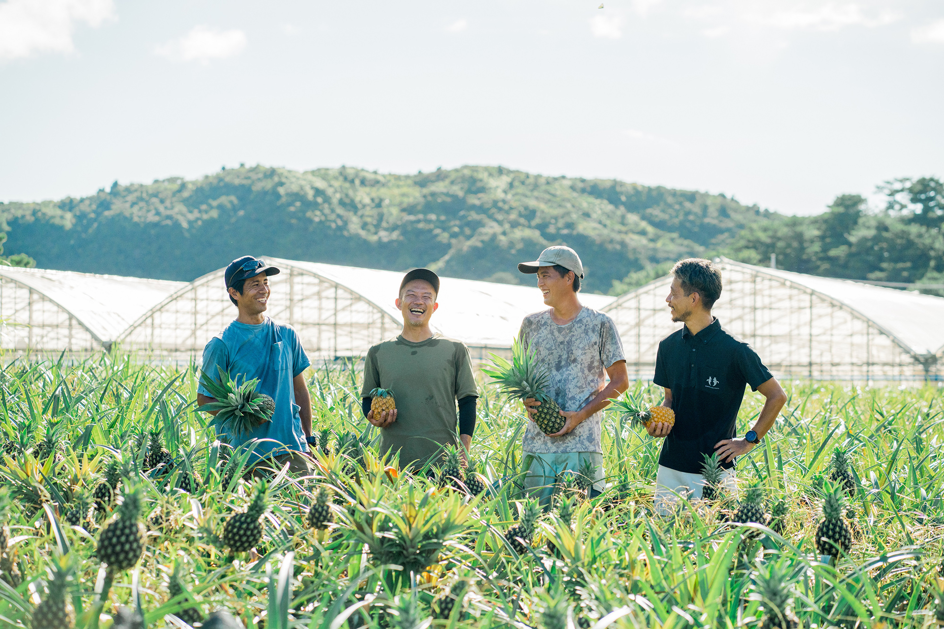 西表島のピーチパイン農家の皆さん
