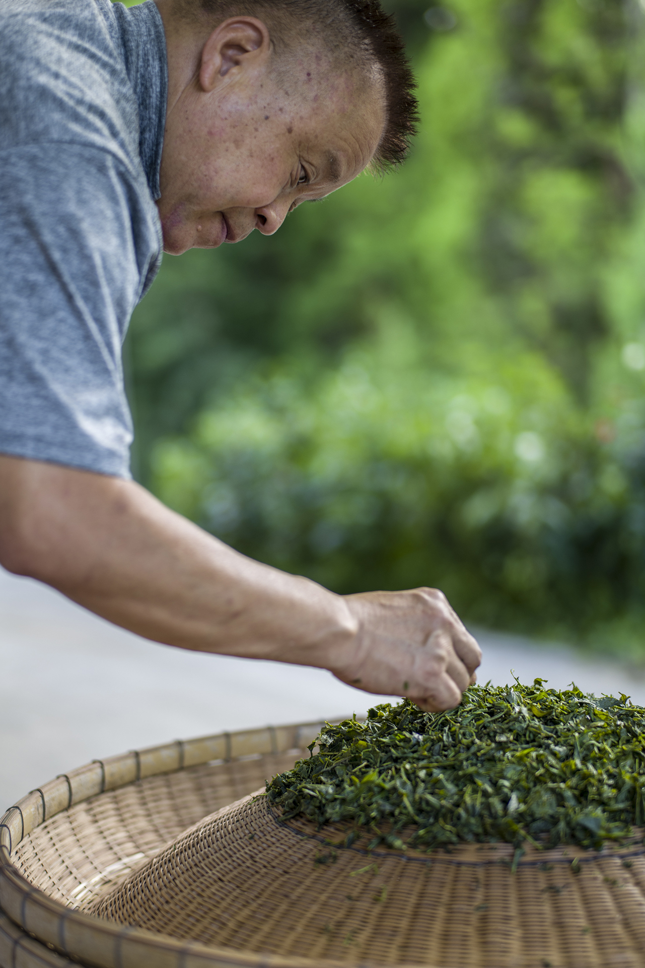 新茶の釜炒り体験