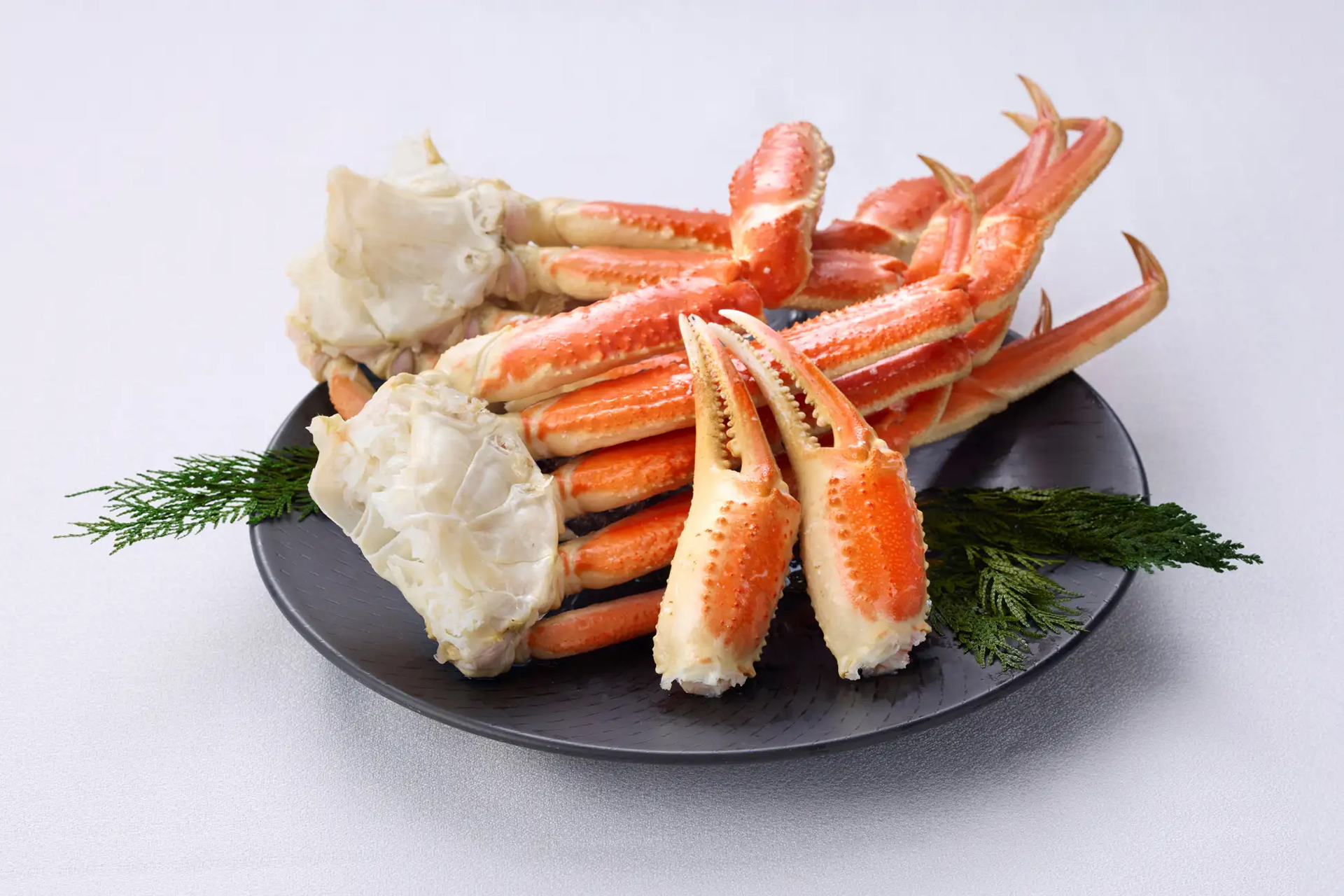 4Lサイズの本ずわいがに