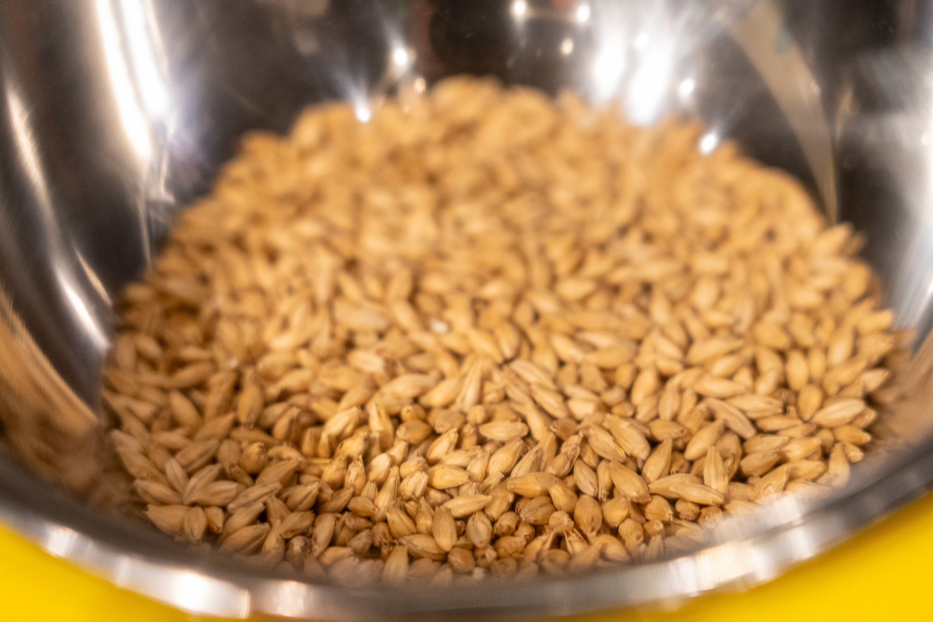 ビールの原料である麦芽の試食やホップの香り体験