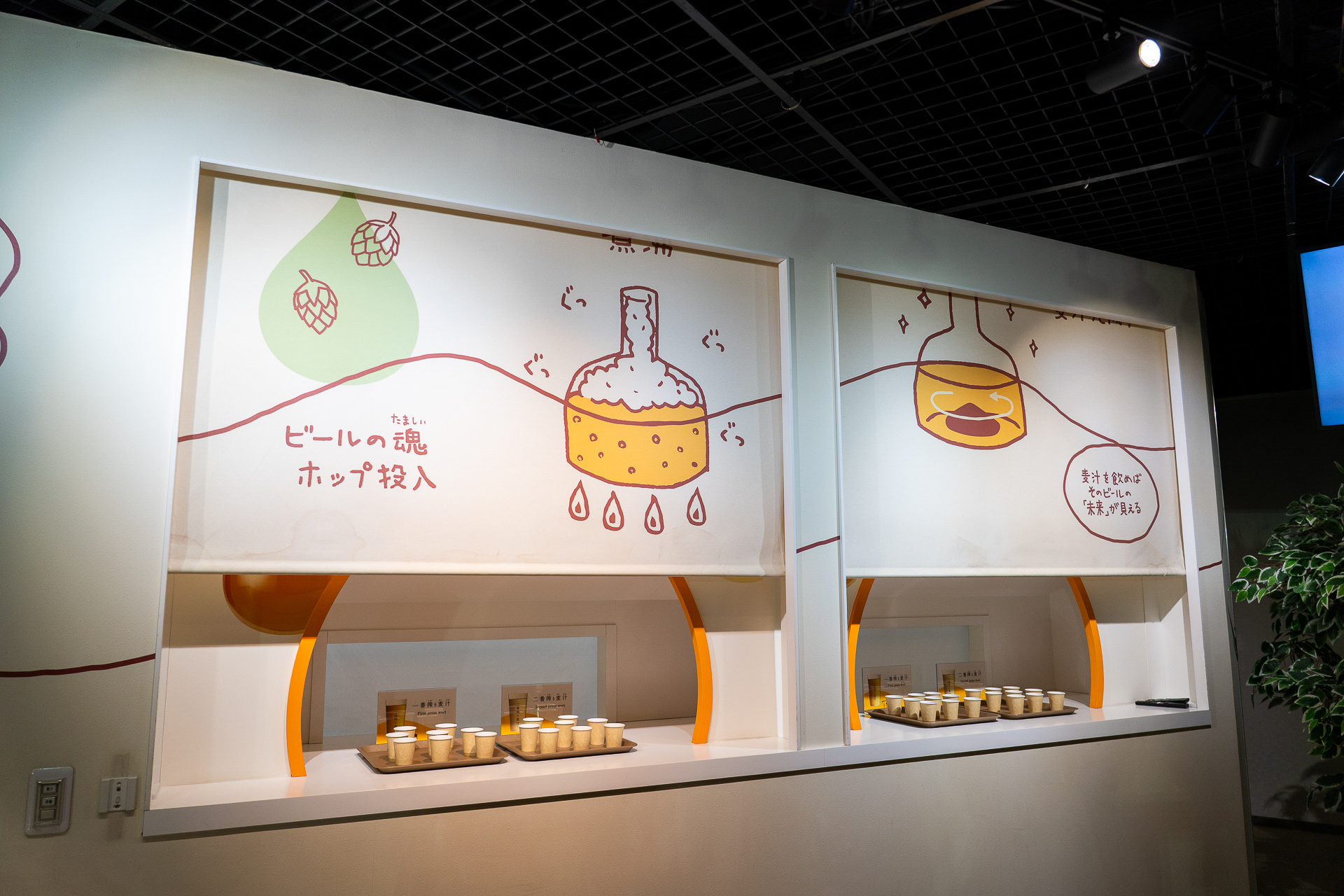 贅沢な「一番搾り麦汁」と、一般的なビールで使われる「二番搾り麦汁」の飲み比べを体験できる