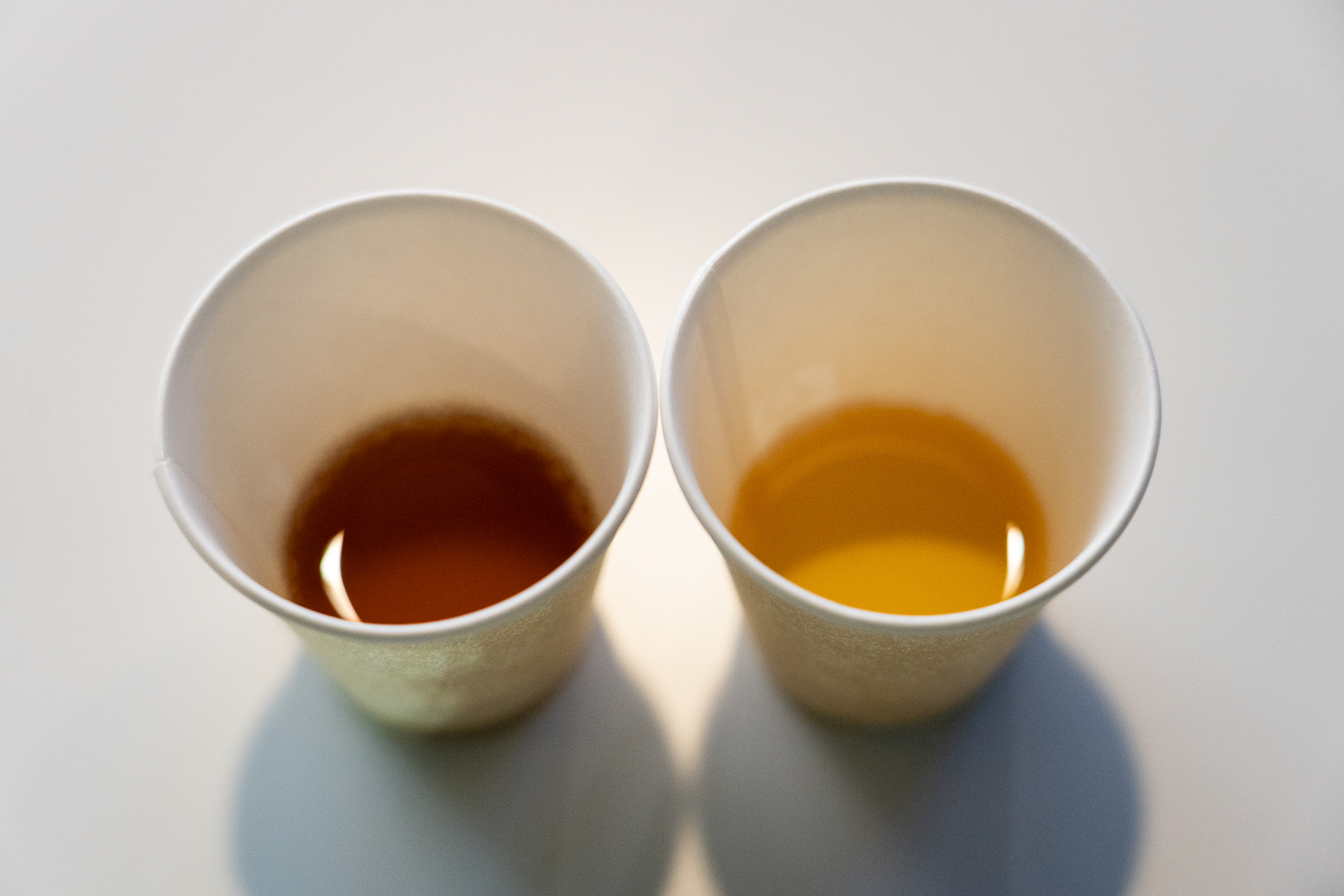 贅沢な「一番搾り麦汁」と、一般的なビールで使われる「二番搾り麦汁」の飲み比べを体験できる