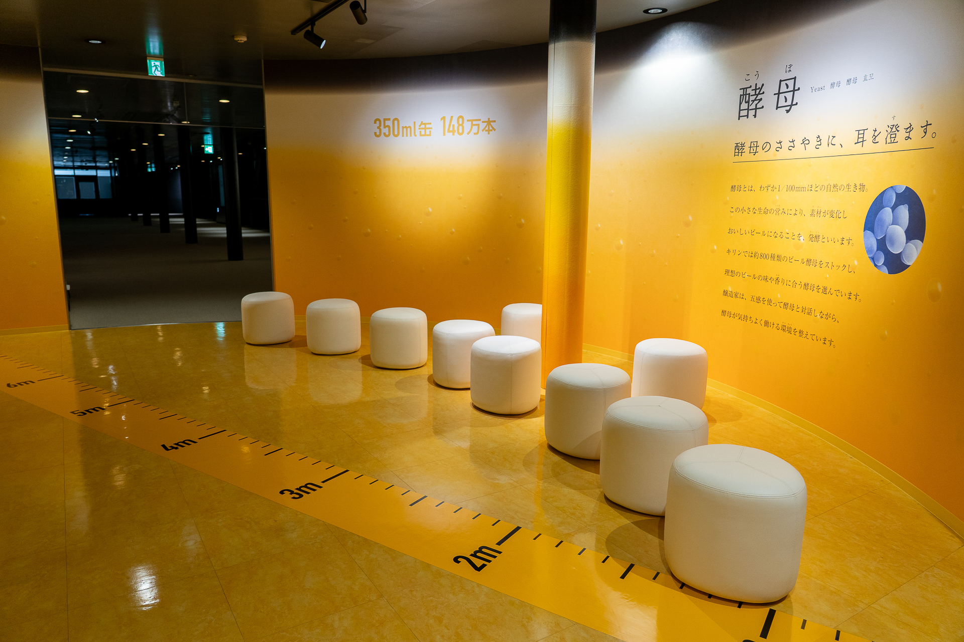 リニューアルされた「発酵エリア」。白いイスは酵母をイメージしている