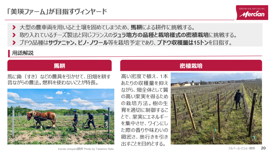 美瑛ファームが取り入れる予定の「馬耕」と「密植栽培」