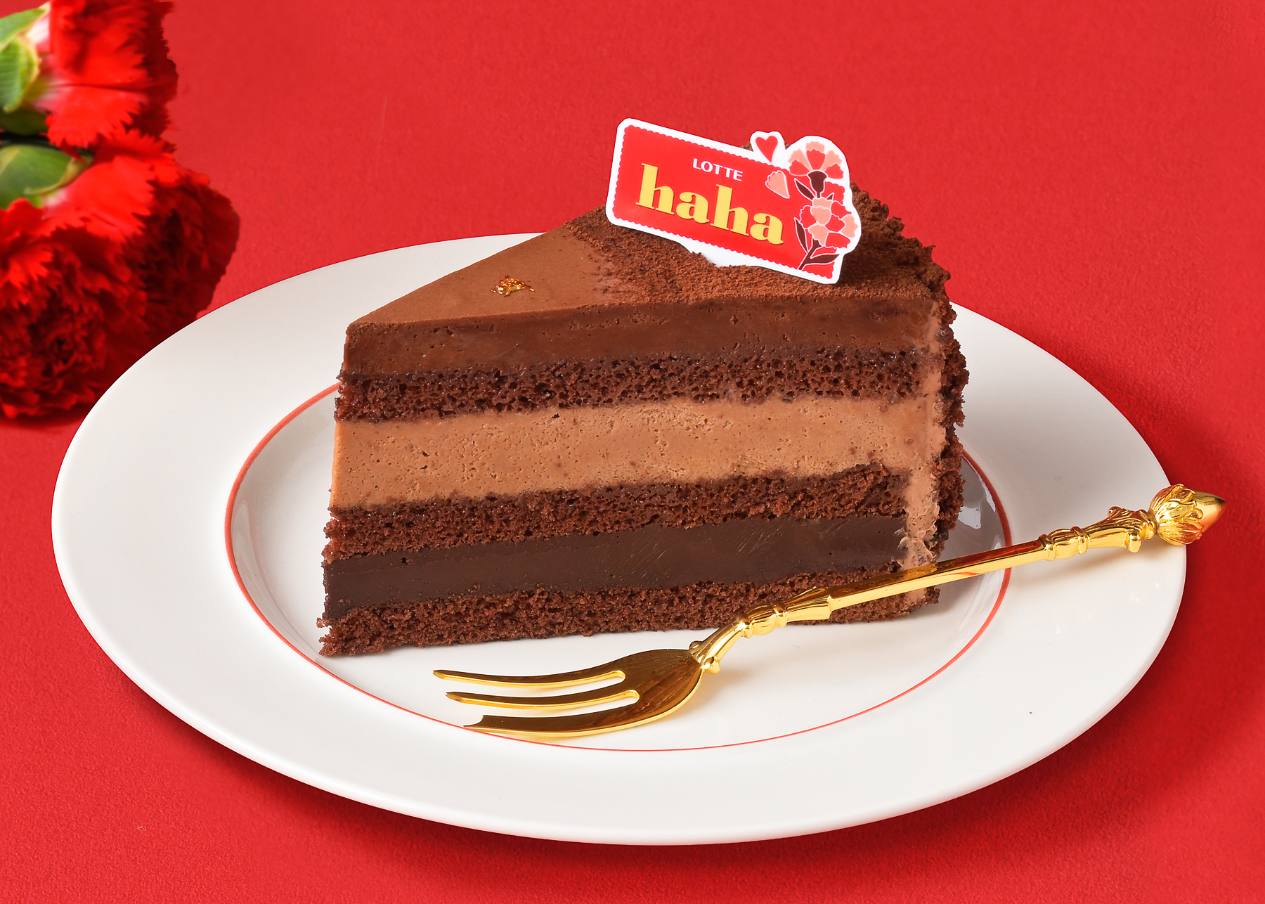 ＜ガーナ＞濃厚生チョコケーキ