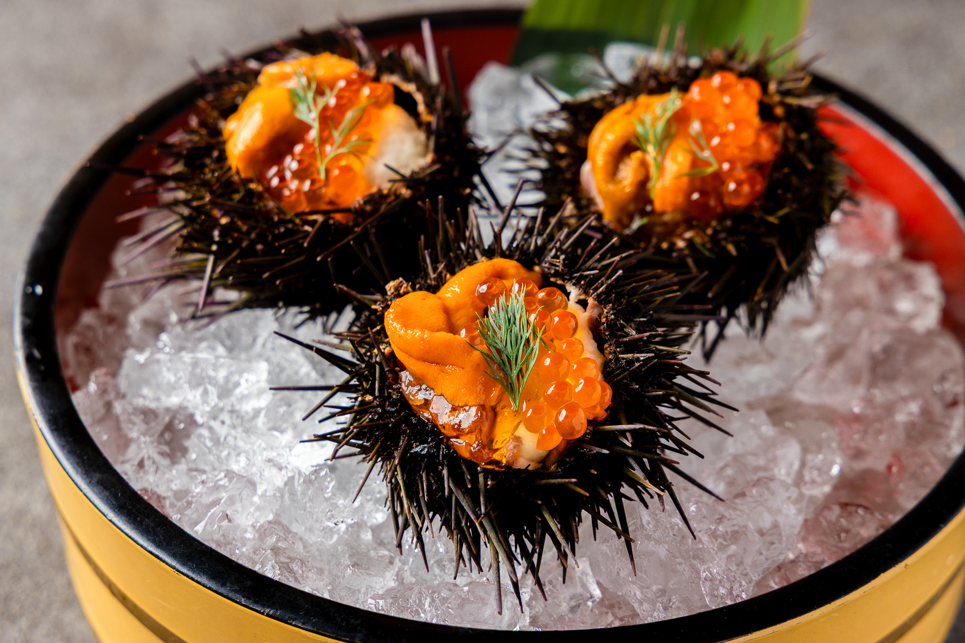 牛タンと雲丹の饗宴 イセエビのジュレ