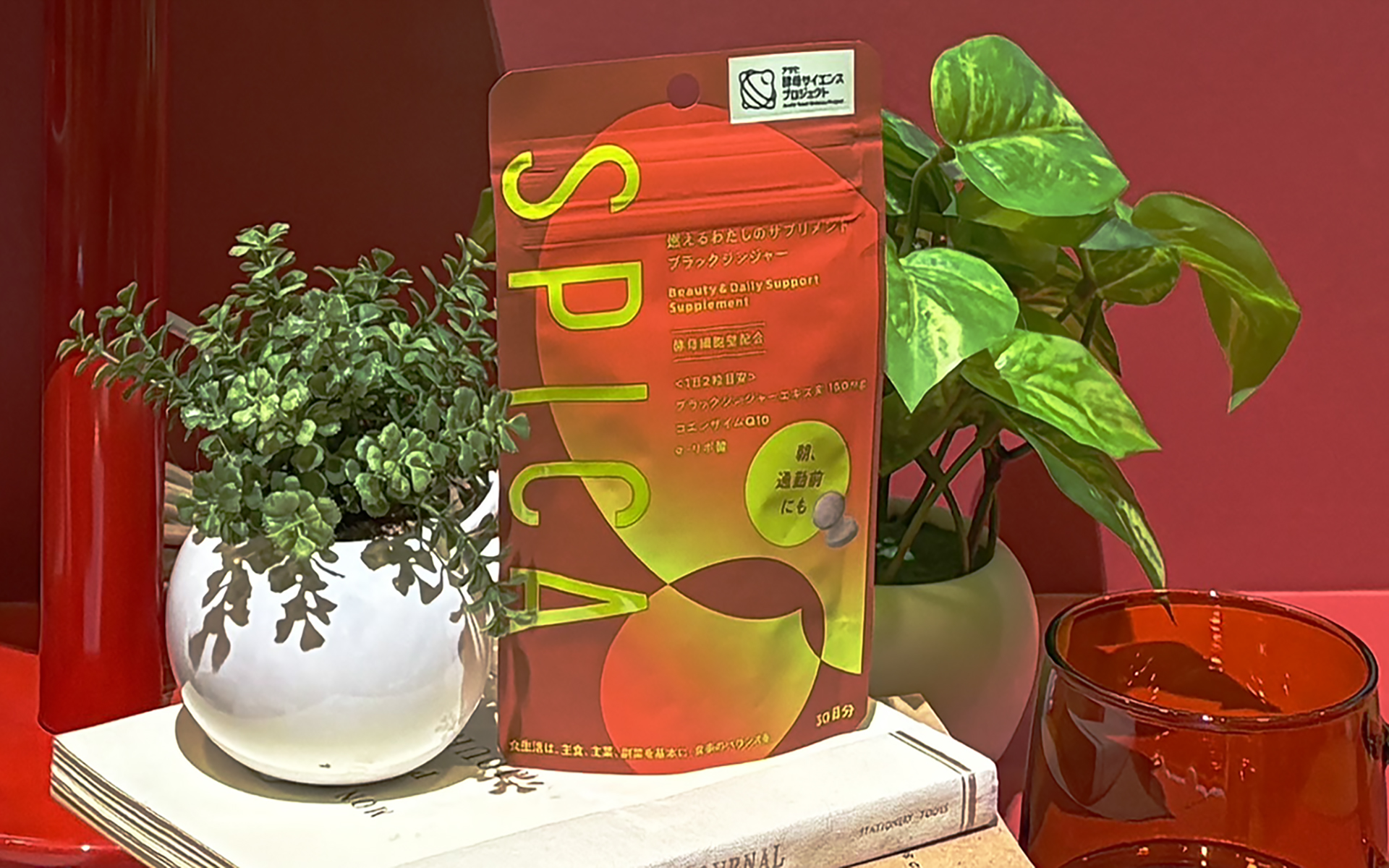 ブラックジンジャー