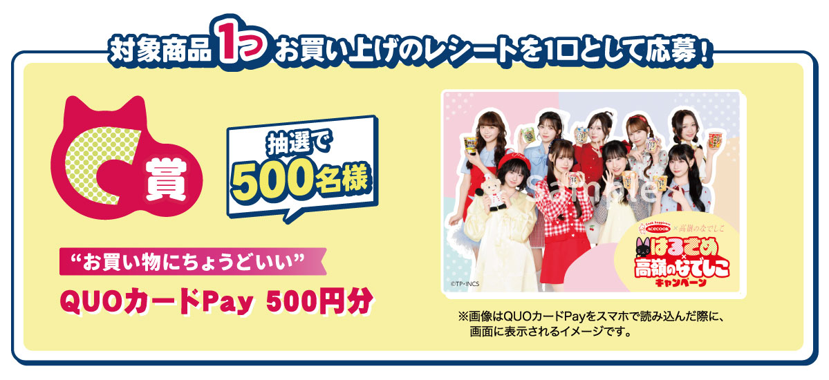 “お買い物にちょうどいい”QUOカードPay 500円分