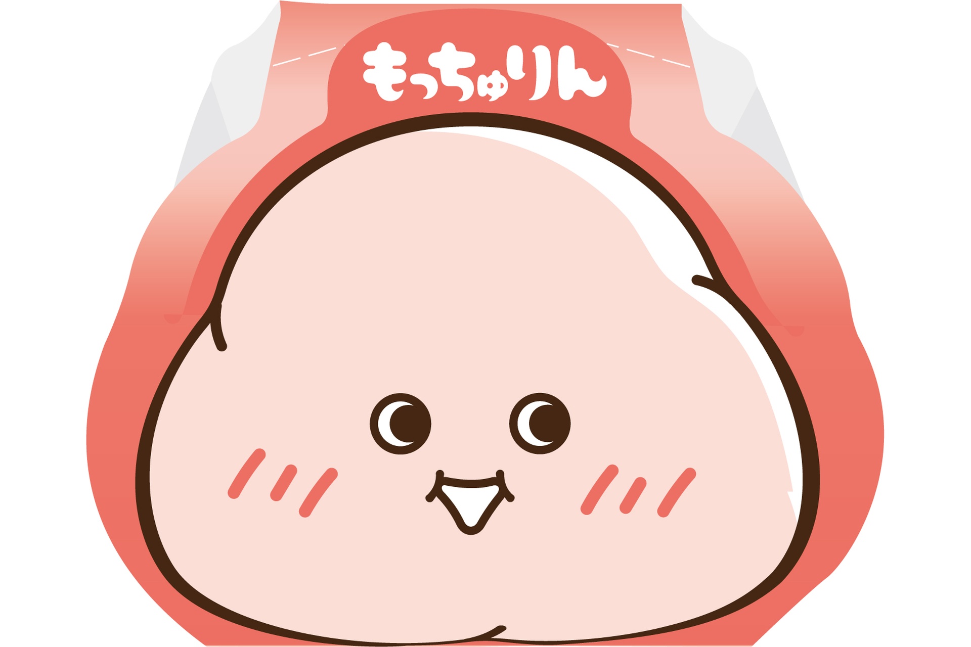 パッケージイメージ