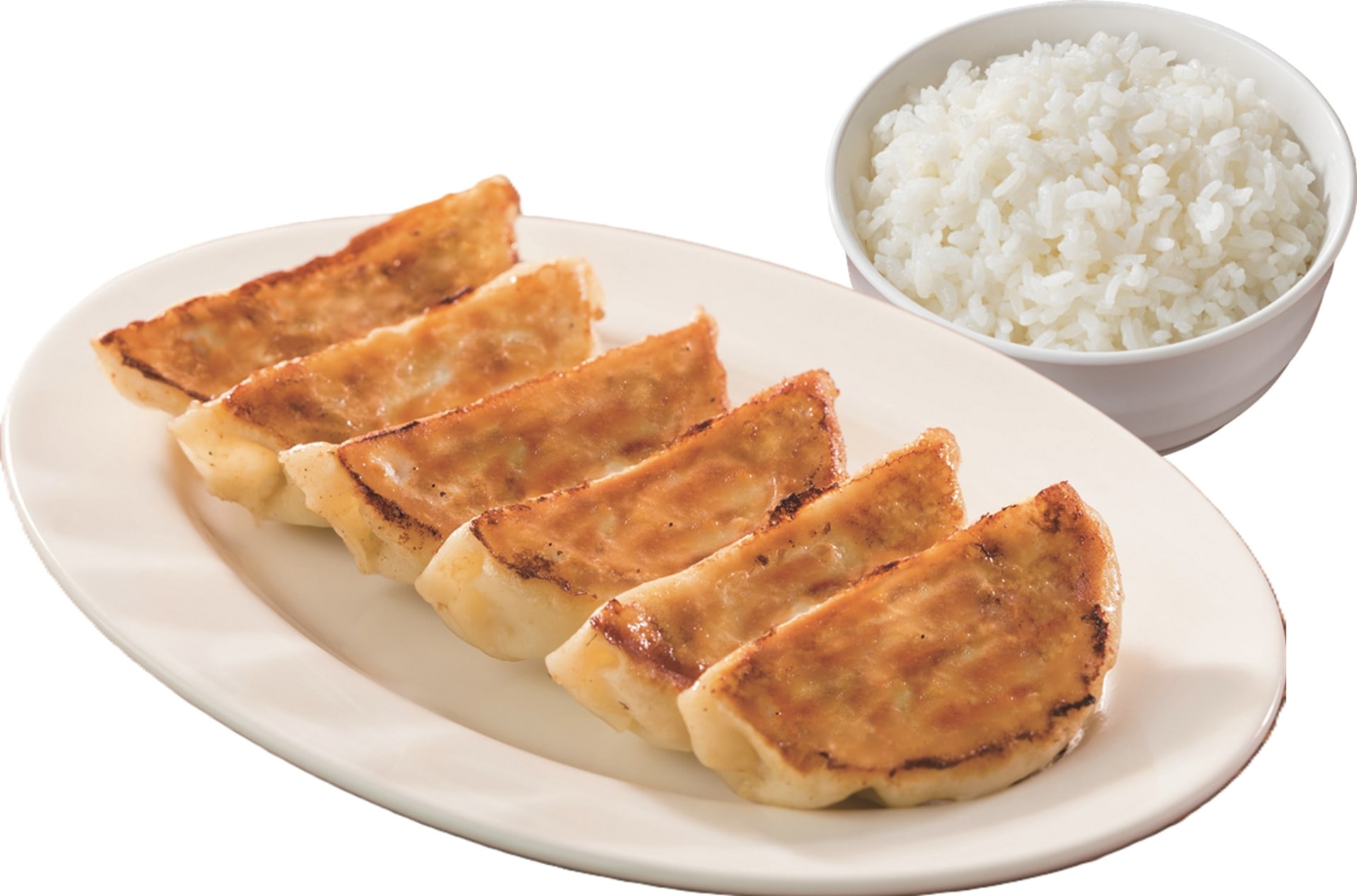 「本格焼餃子［6コ］・ごはんセット」（549円）