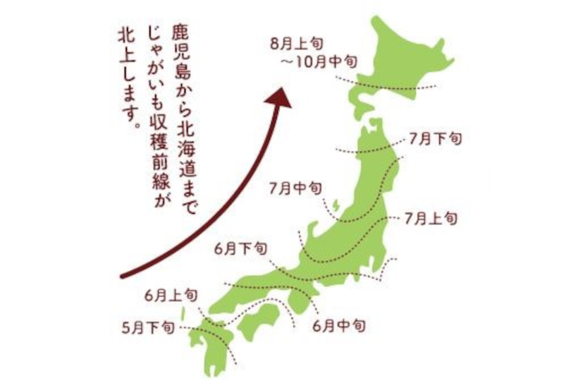 ジャガイモ収穫前線