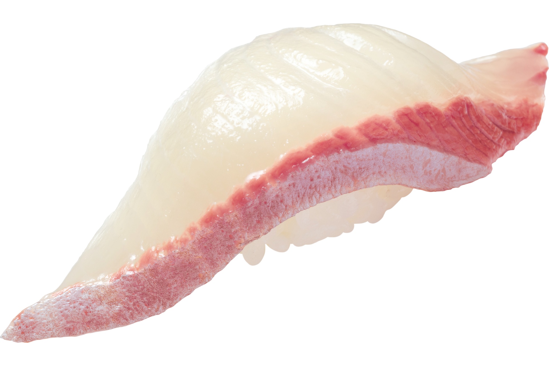 鹿児島産 大切り活〆平政