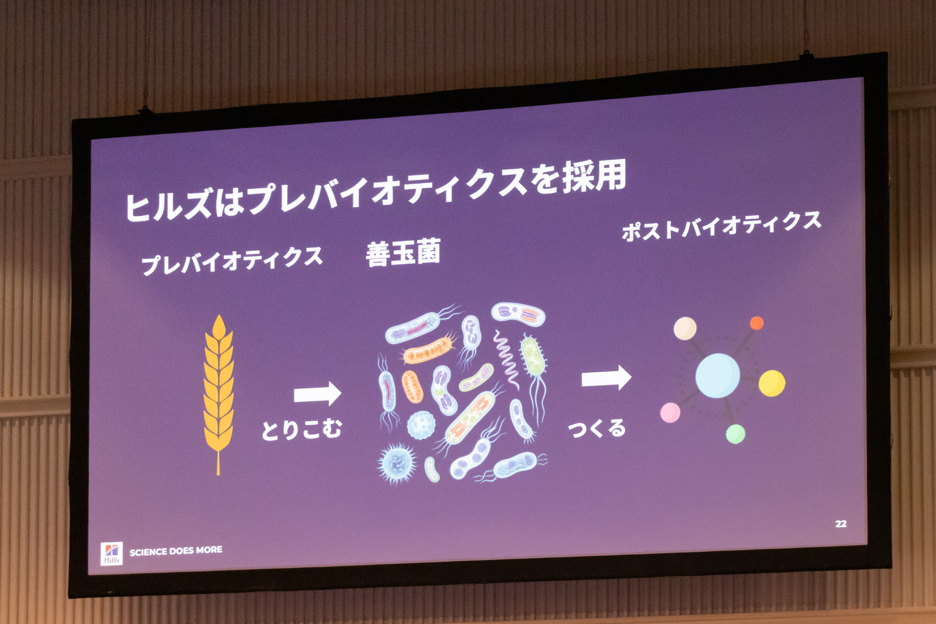 キーとなるプレバイオティクス