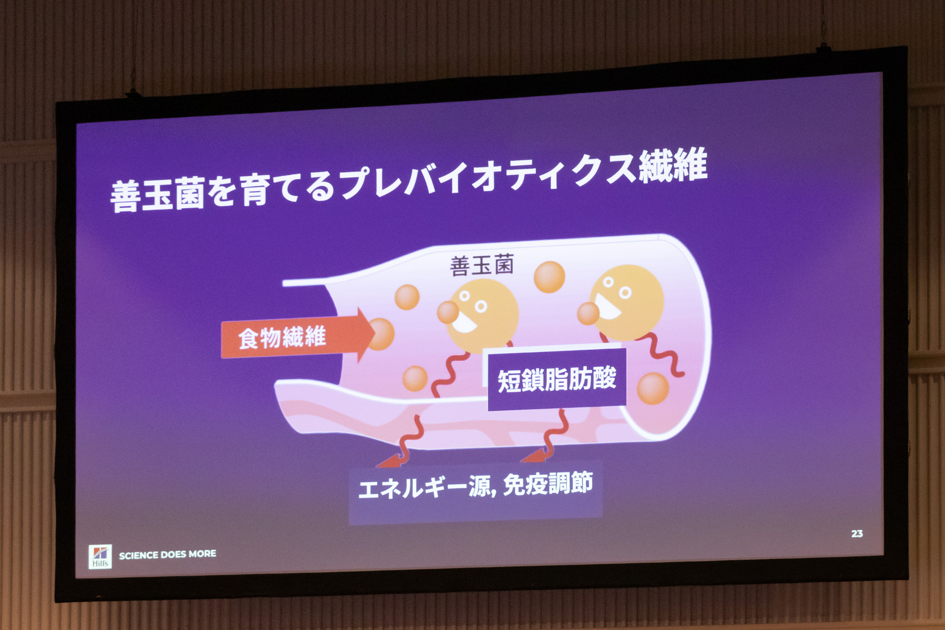 善玉菌を育て、短鎖脂肪酸の産生を促進する