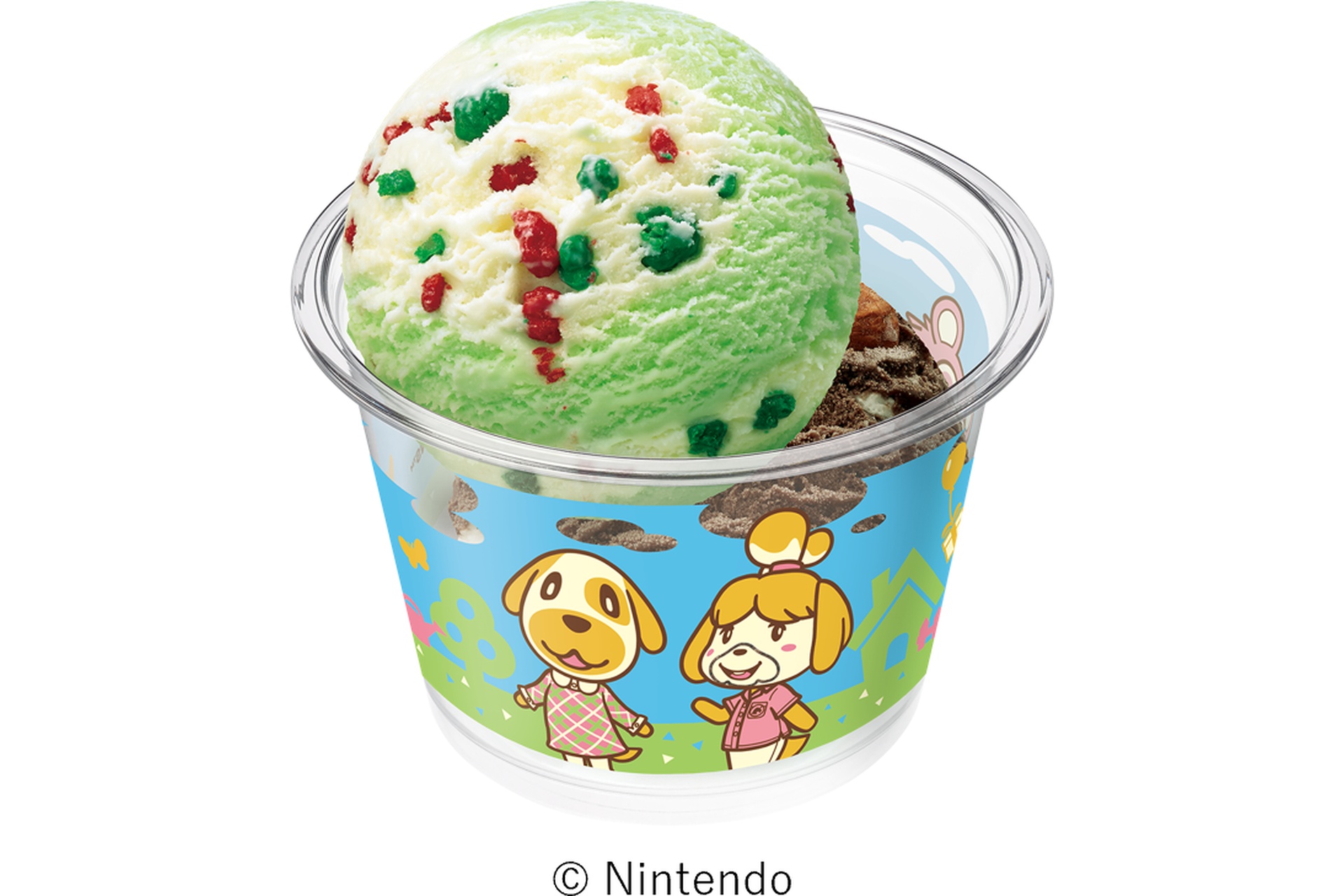 どうぶつの森 ダブルカップA