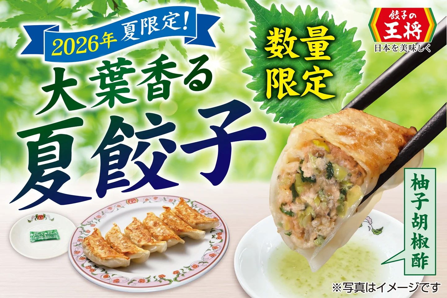 餃子の王将「夏餃子」