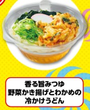 香る旨みつゆ 野菜かき揚げとわかめの冷かけうどん