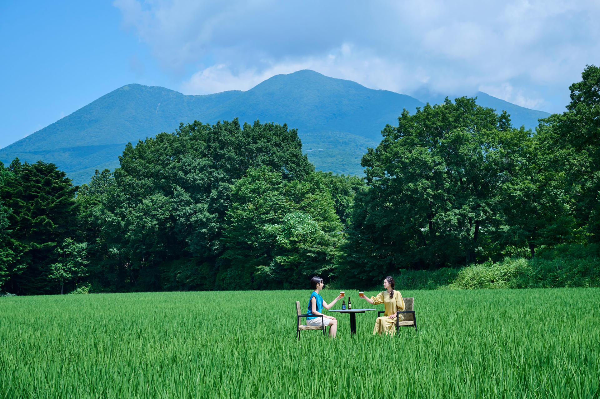 席は8500m<span class="em sup">2</span>ある広大な田んぼの真ん中に設置