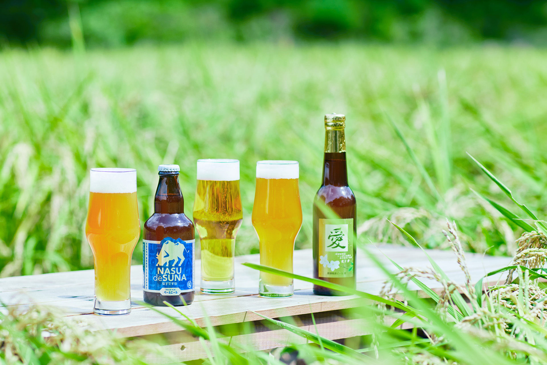 地元のクラフトビールを楽しめる