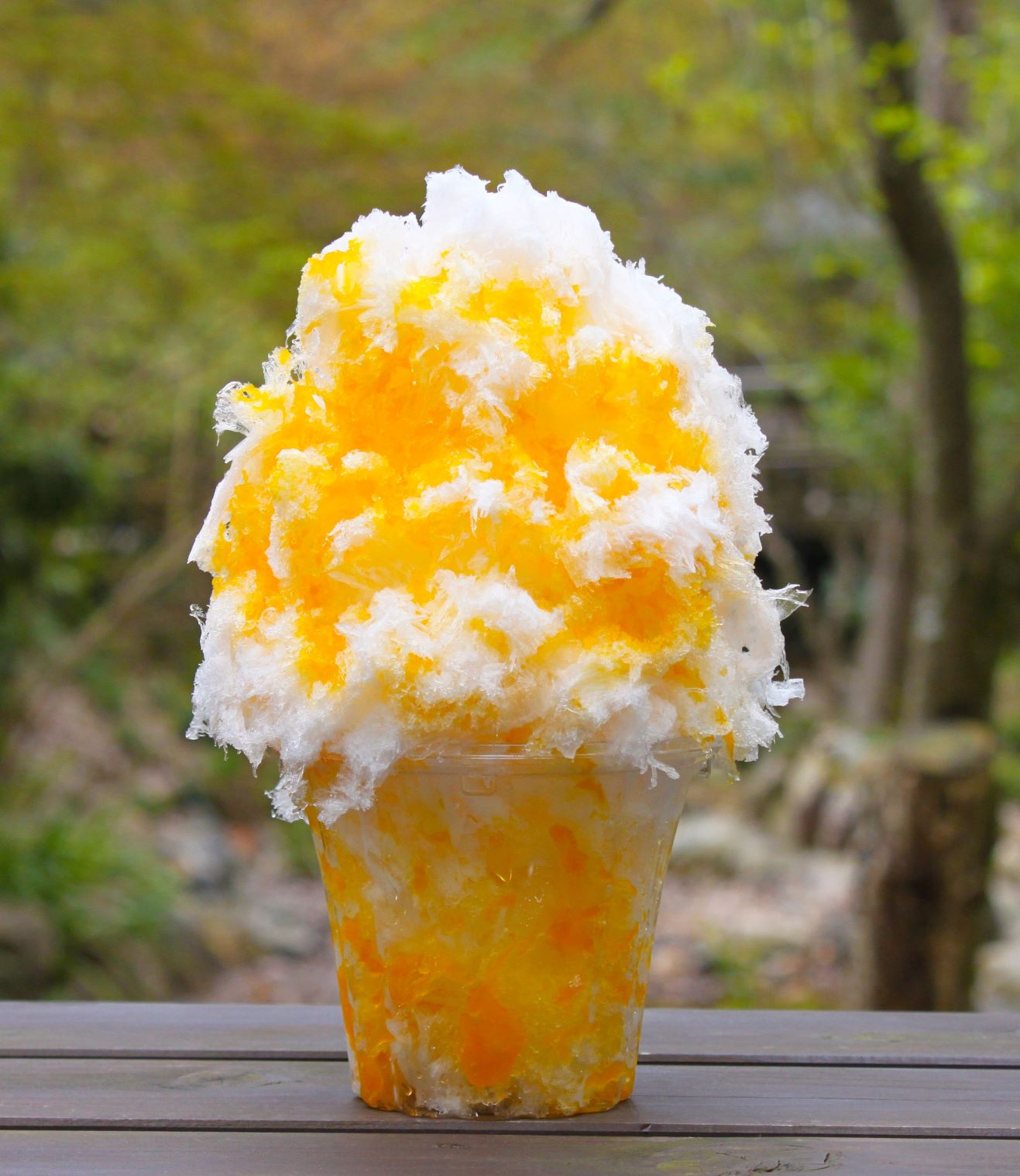 「かき氷屋川久」登場