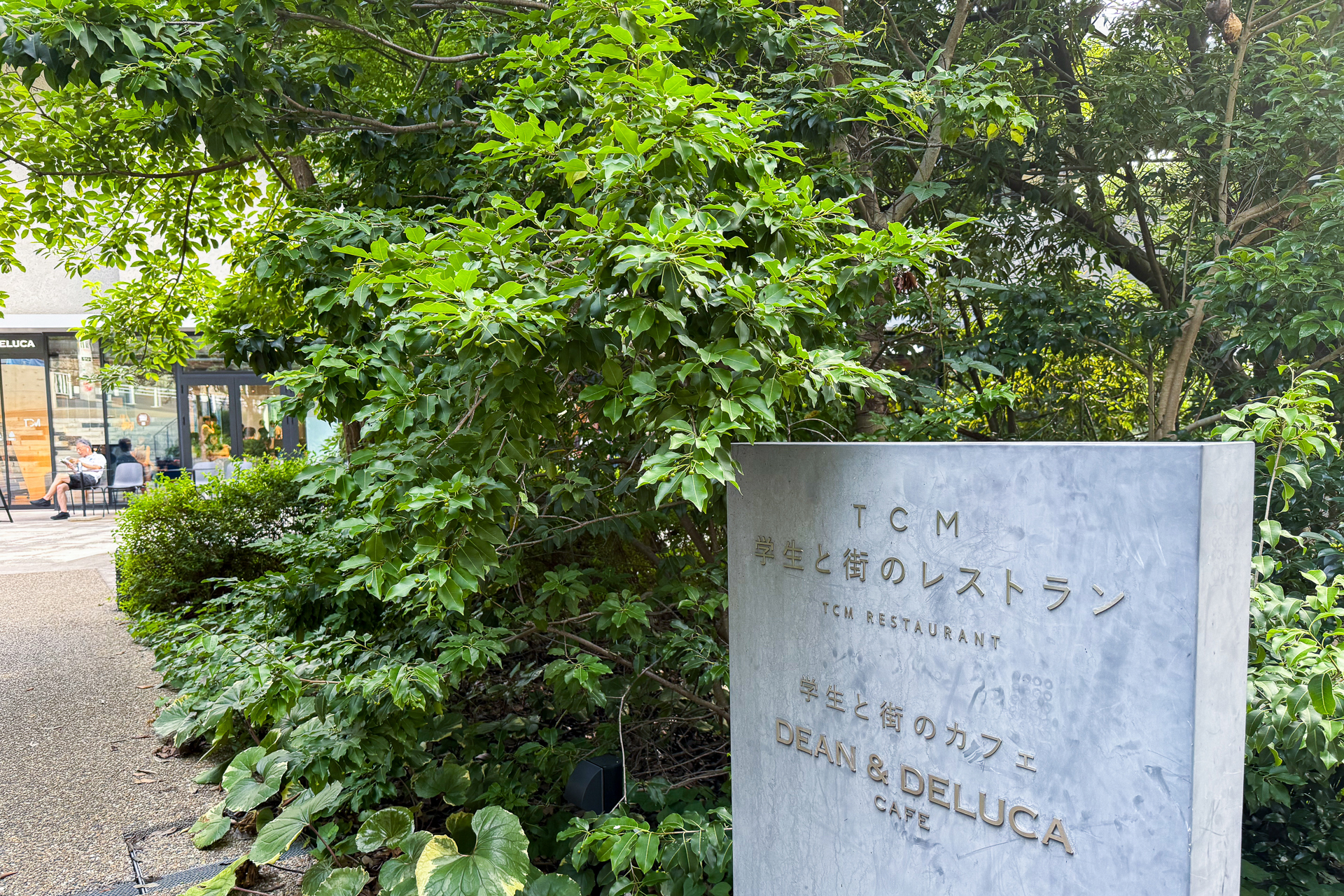 向かったのは「DEAN & DELUCA カフェ 東京音楽大学 中目黒 代官山キャンパス」。街にひらけたカフェとして、大学の構内にある