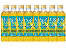 サントリー 伊右衛門 特茶ジャスミン 500mL 8本