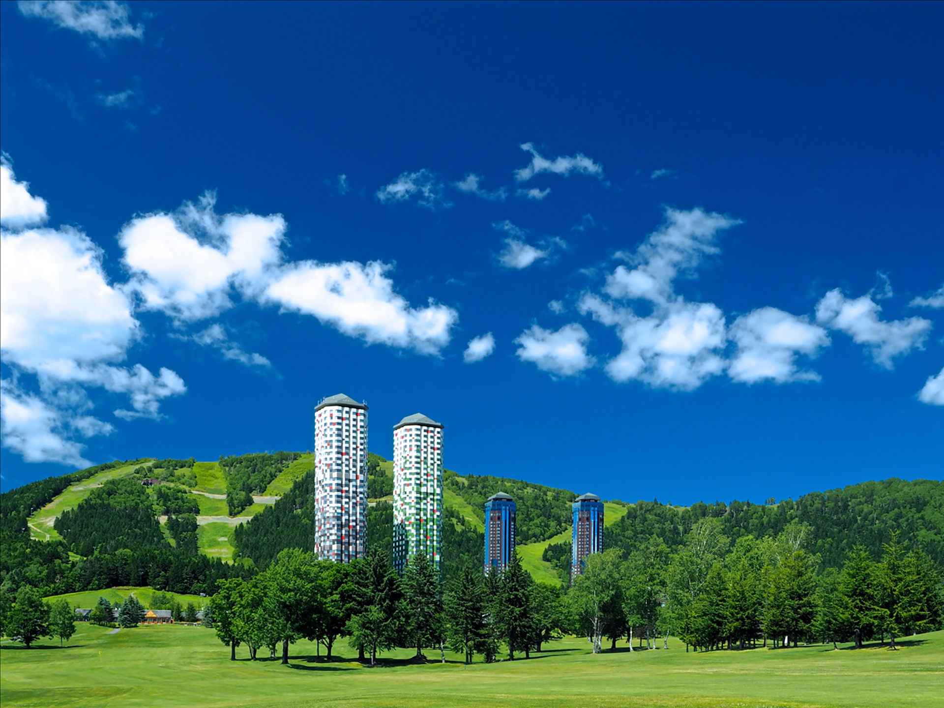 春から夏にかけての全景