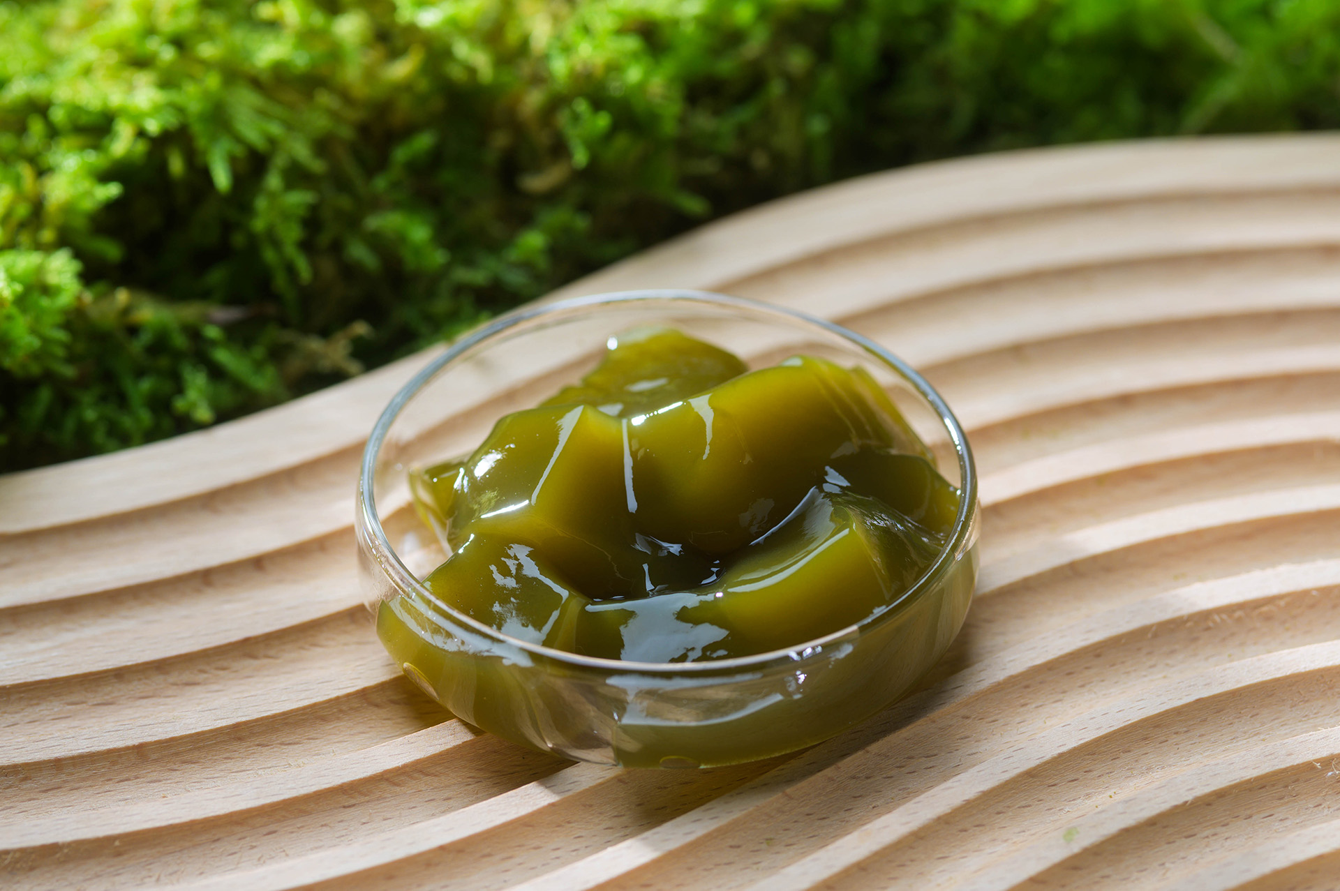 湿度をまとい輝く苔をイメージしたわらび餅