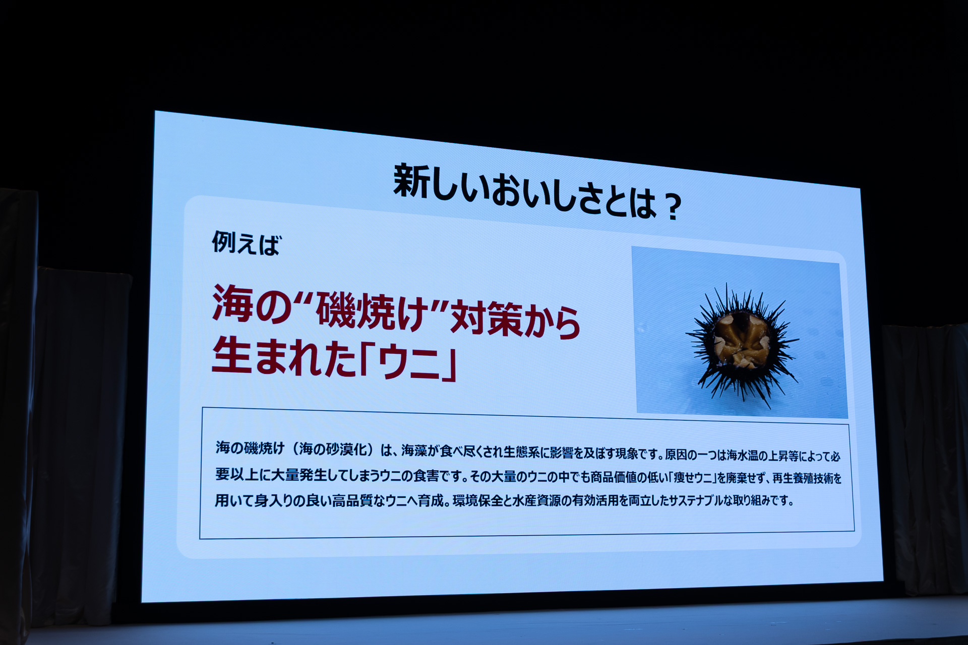海の磯焼け対策から生まれたウニ「はぐくむうに」（岩手県・北三陸ファクトリー）