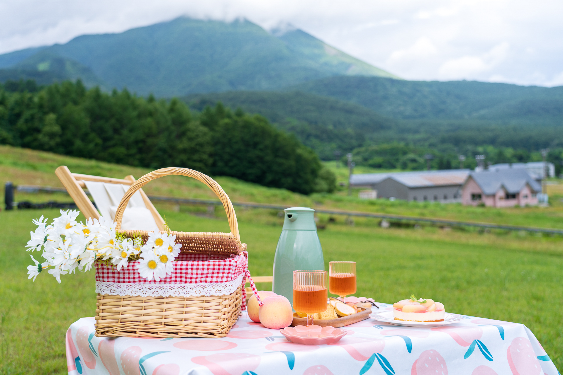 磐梯山を眺めながら芝生の特別席で楽しめる「ももピクニックセット」
