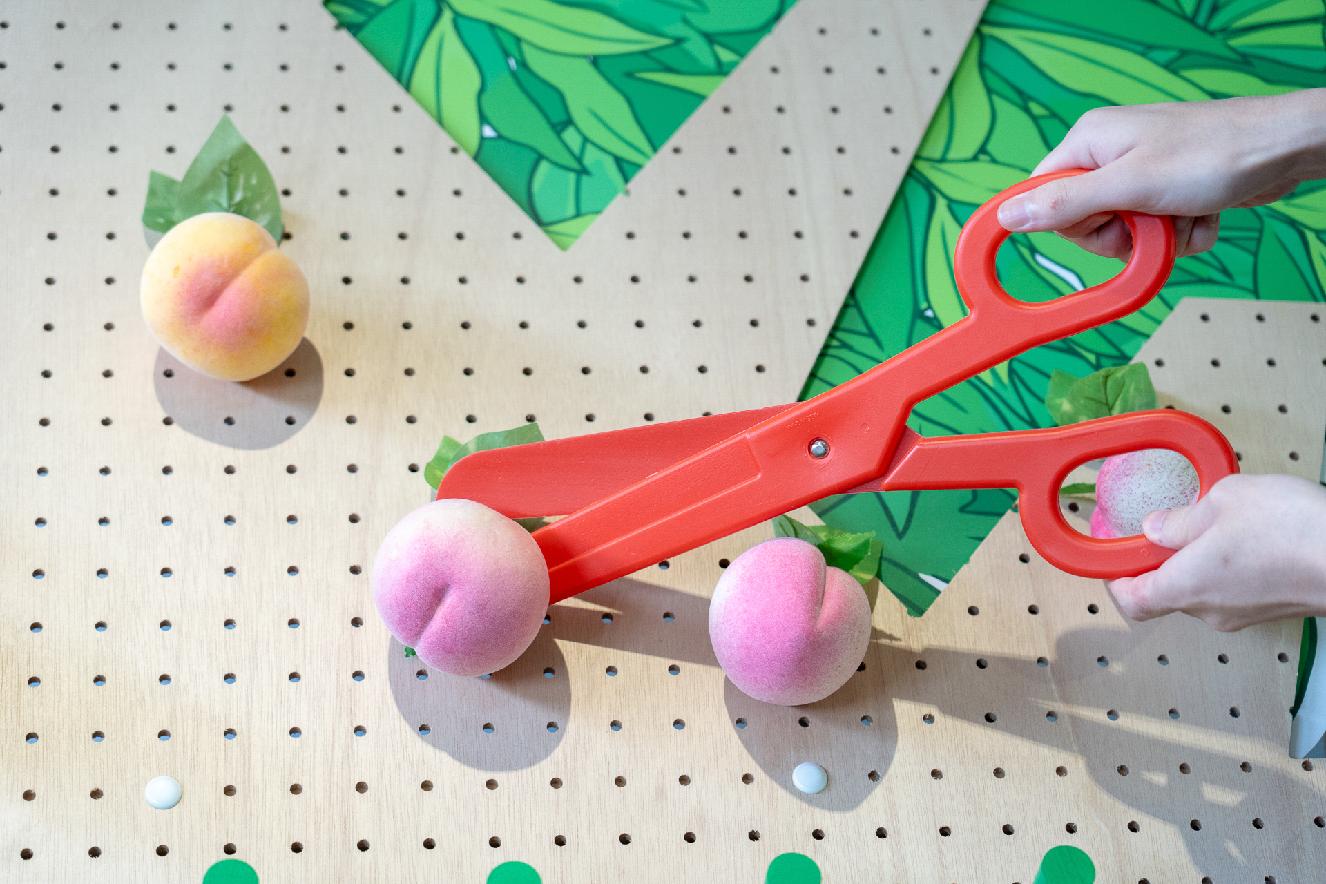 桃を1つ選んでハサミでチョッキン！　転がった先のバケツの番号で運試しというゲーム