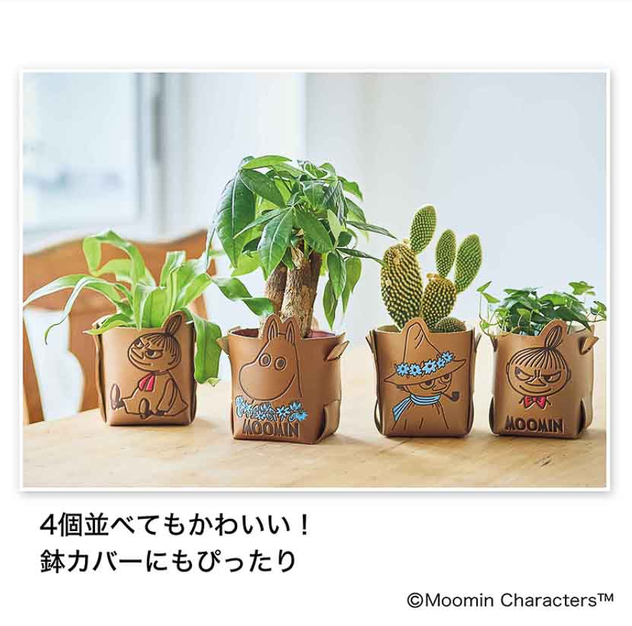 観葉植物の鉢カバーにもぴったり