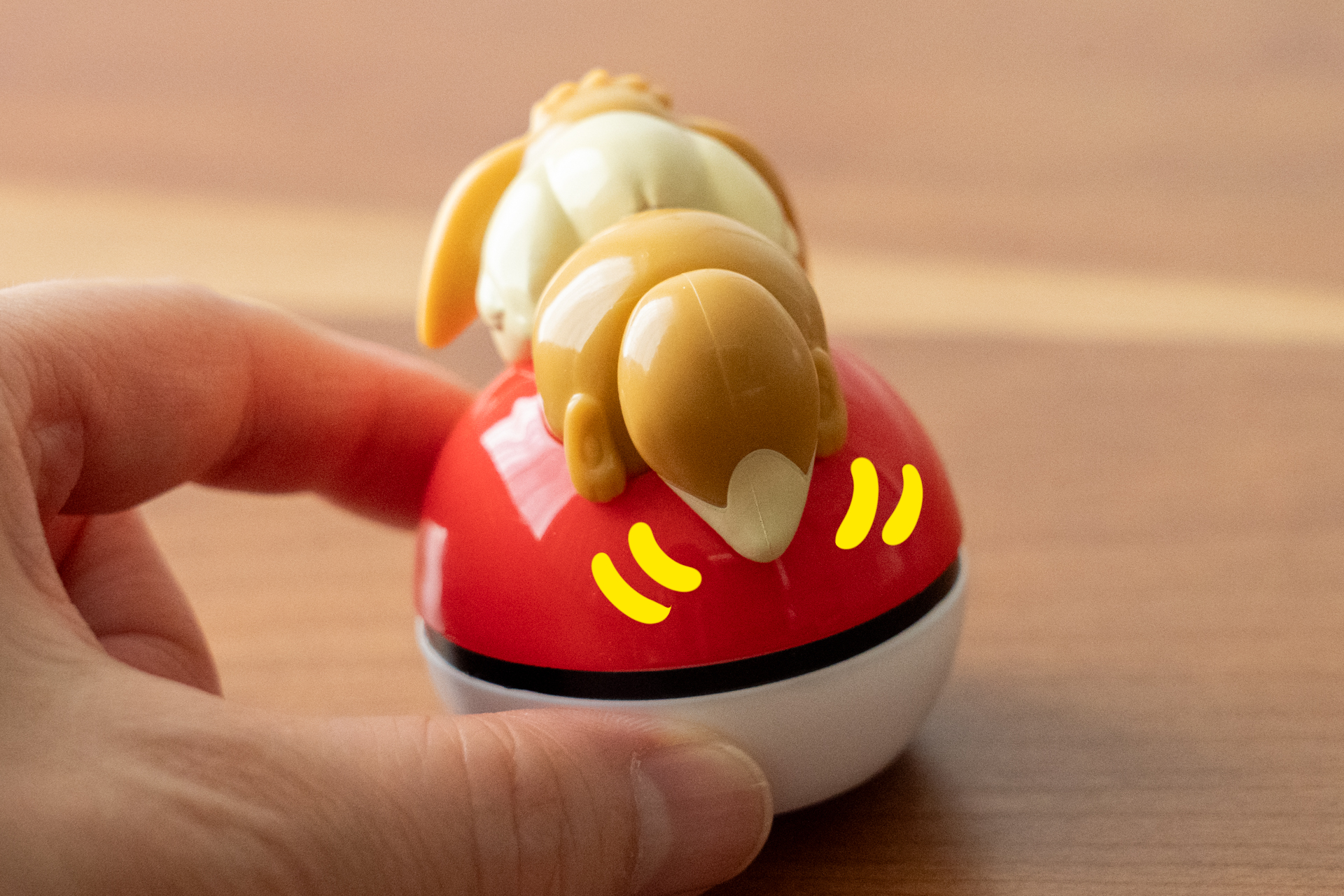 イーブイの尻尾がふりふり動いてかわいい