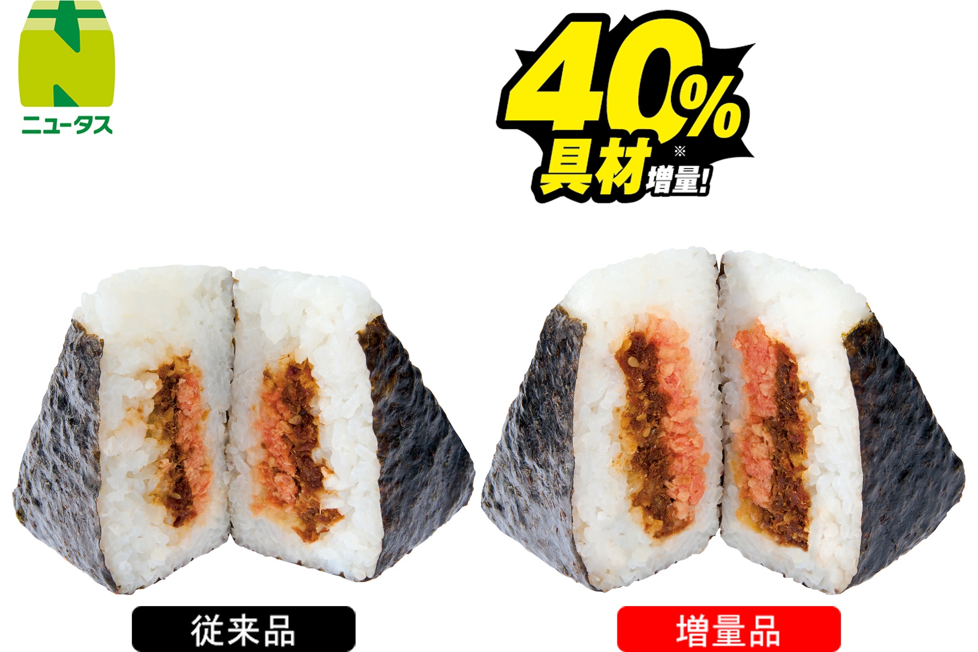 大きなおにぎり 鮭おかか