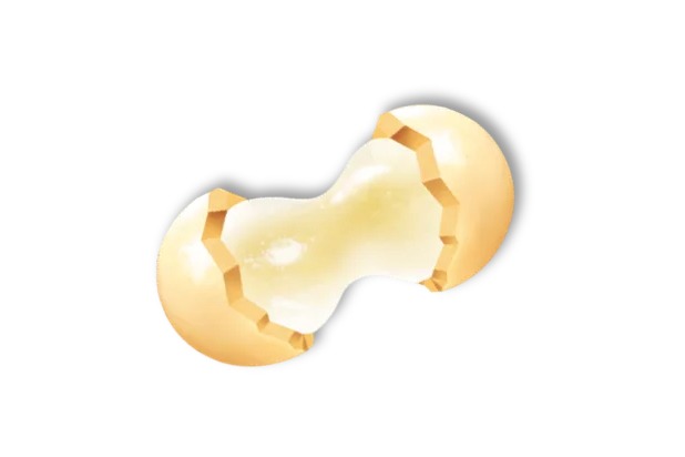 もちもちチョコボール＜金のきなこもち＞