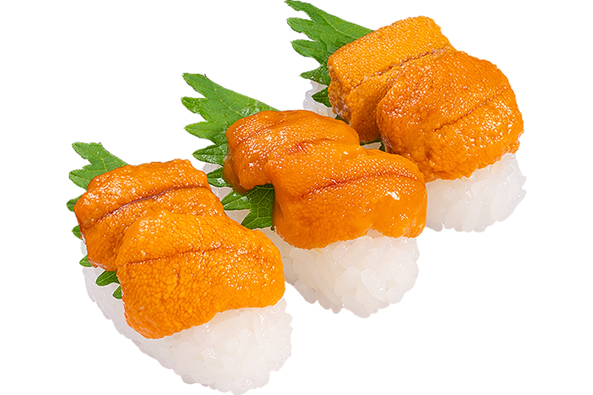 贅沢 うに三昧