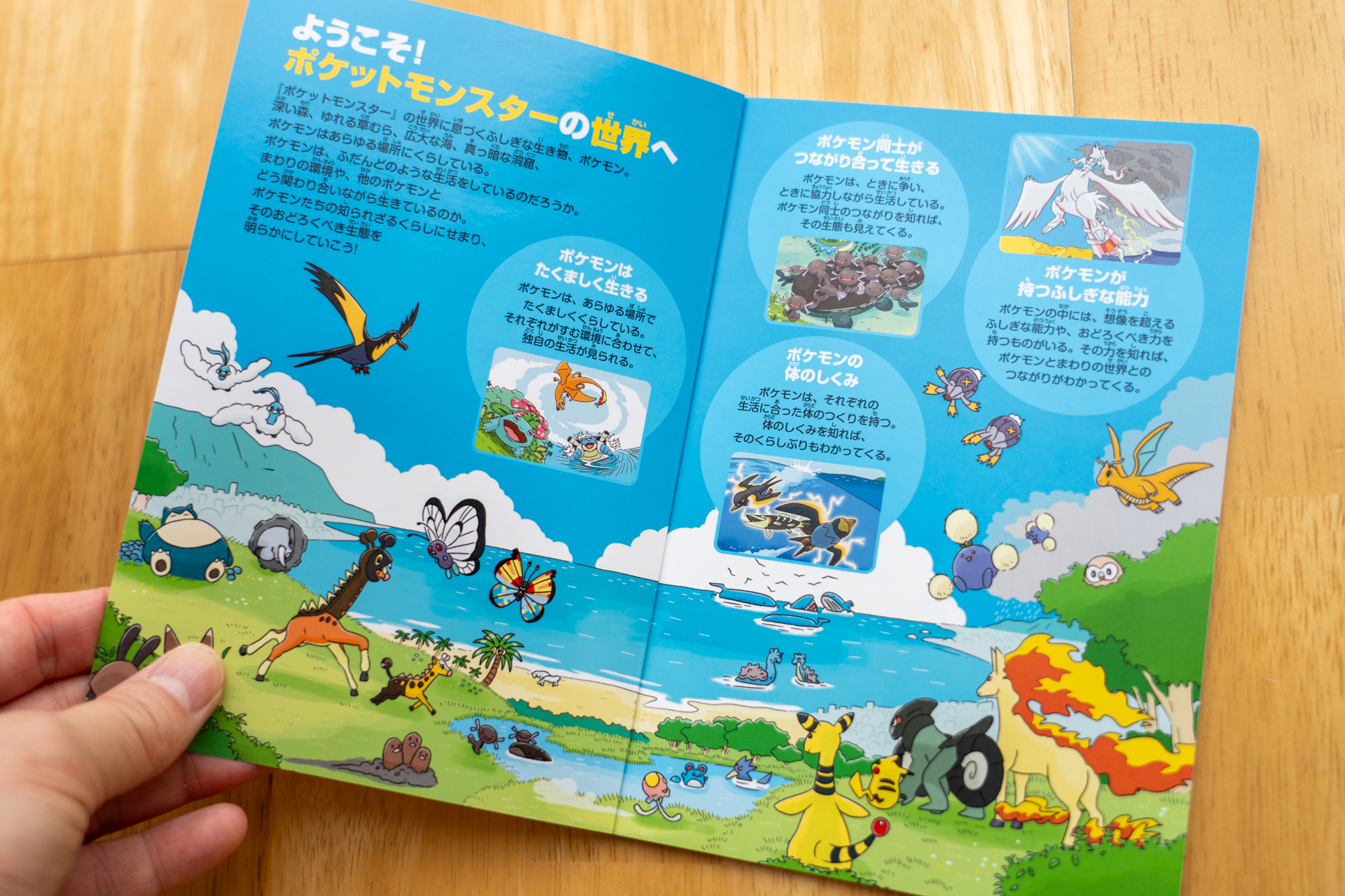 大人も思わず読みふける情報量だ。見応えあるイラストにも注目