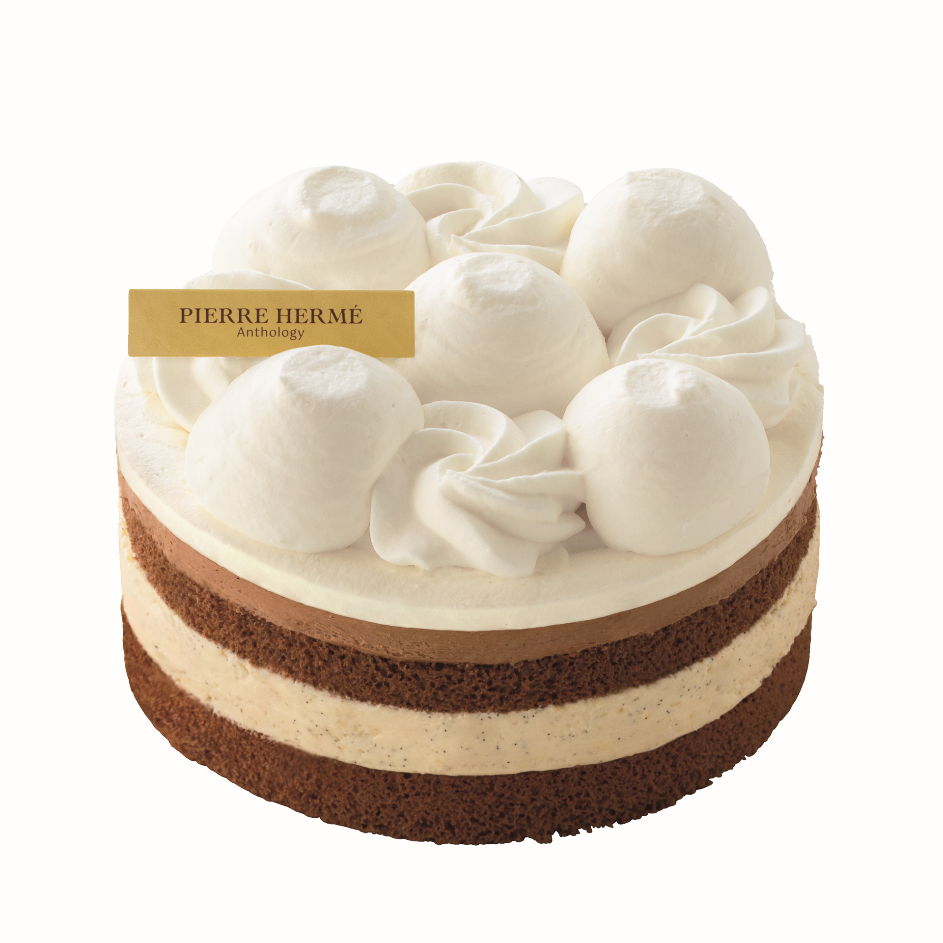 「ピエール・エルメ アンソロジー監修 ガトー・ド・ノエル（チョコレート＆バニラ）」（4600円）