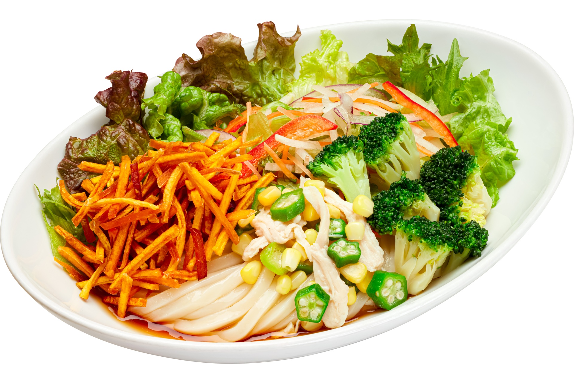 10種野菜のサラダうどん