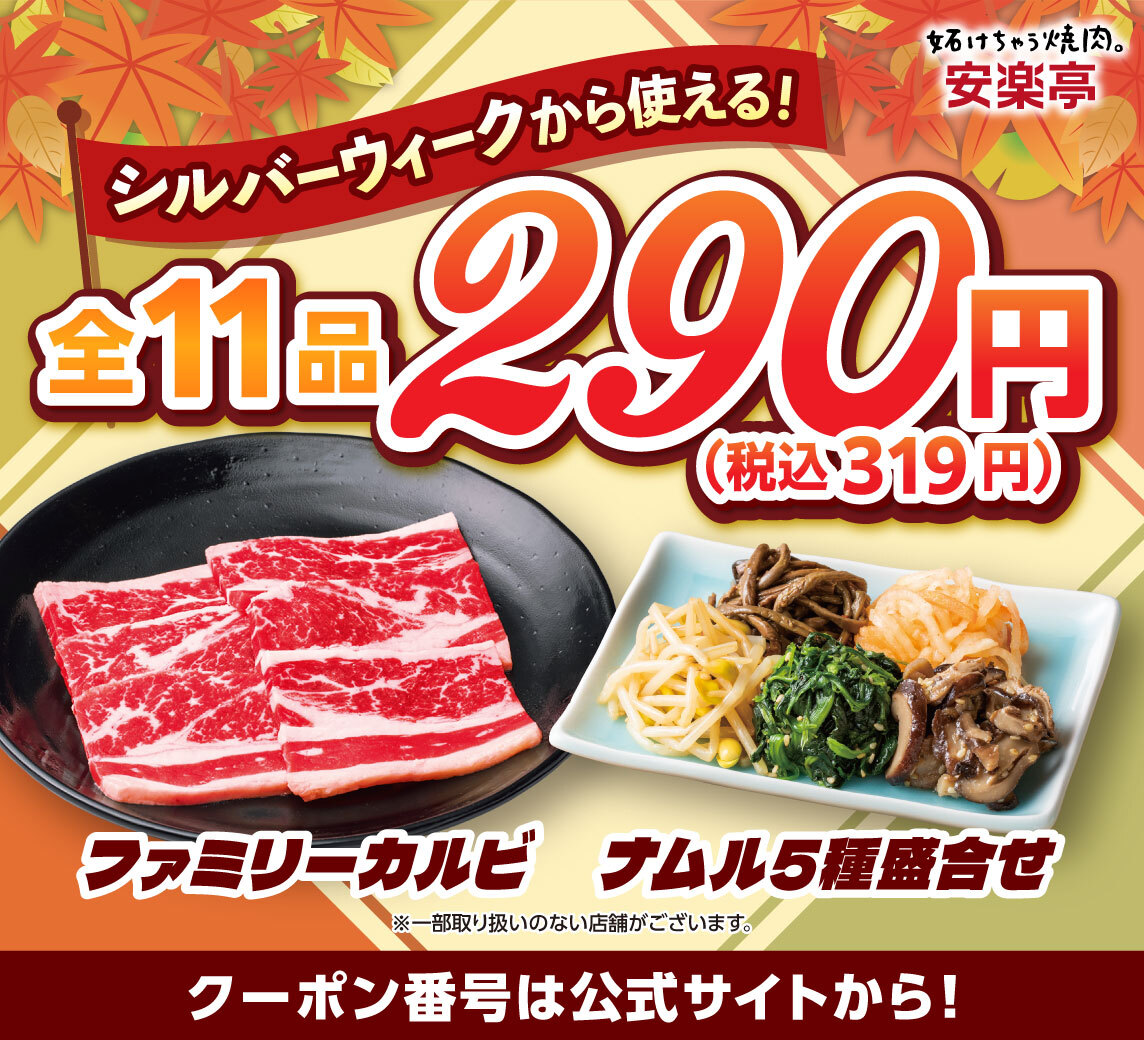 全11品対象の319円クーポン