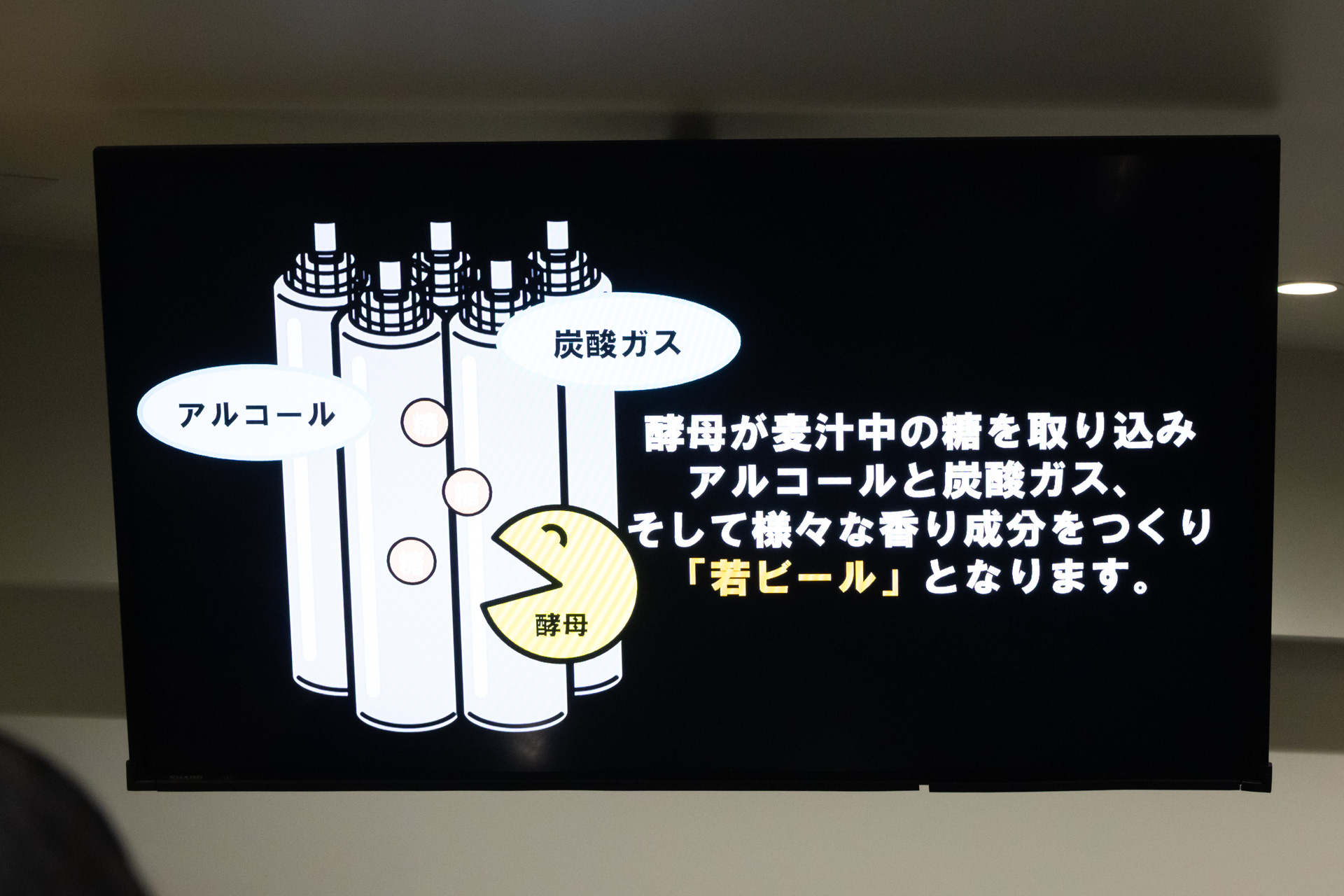 最初に渡されたガイドブックに製造工程の詳細は記されているが、設置されているサイネージでも解説映像を流してくれる