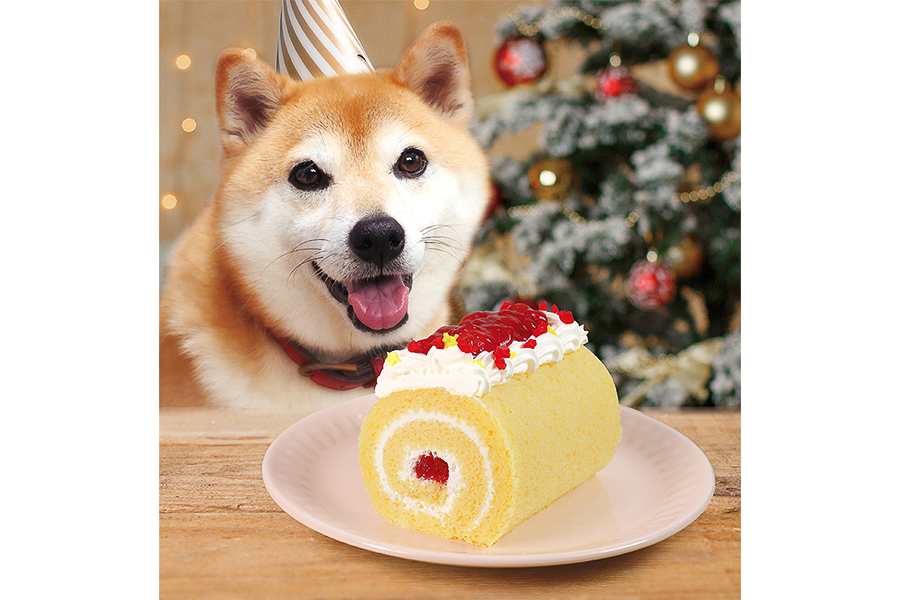 「いっしょに！Smile Switch！ドッグのロールケーキ（犬猫用）」（2900円）