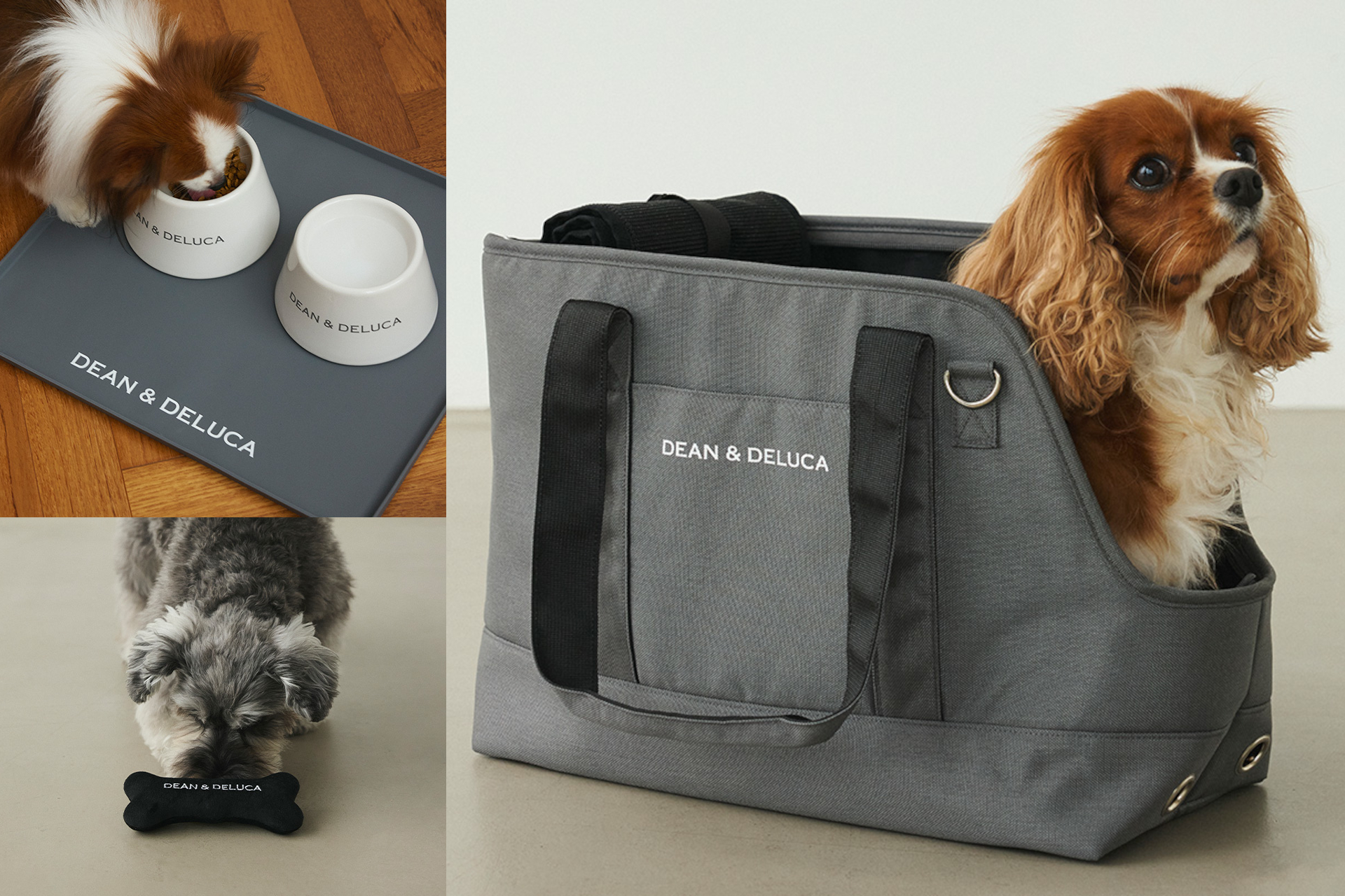 DEAN ＆ DELUCA オリジナルドッグアイテム