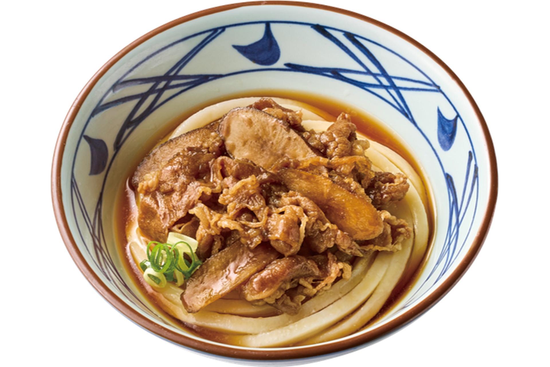 肉ごぼうぶっかけうどん