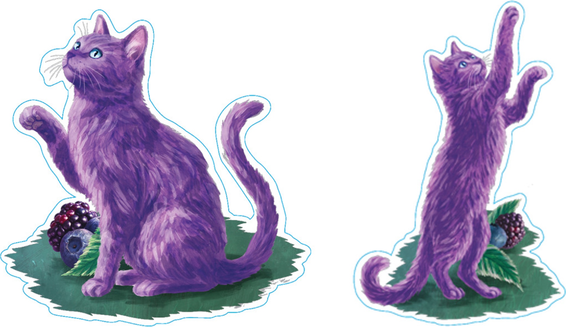 幻のパープルキャット探し