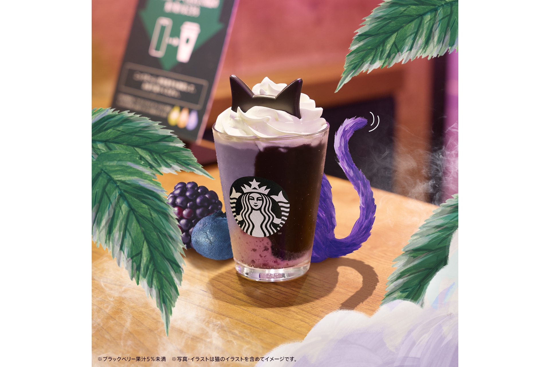 幻のパープルキャットとの追いかけっこ