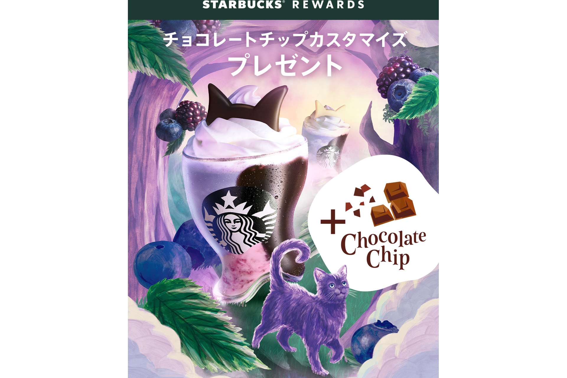 チョコレートチップ追加カスタマイズプレゼント